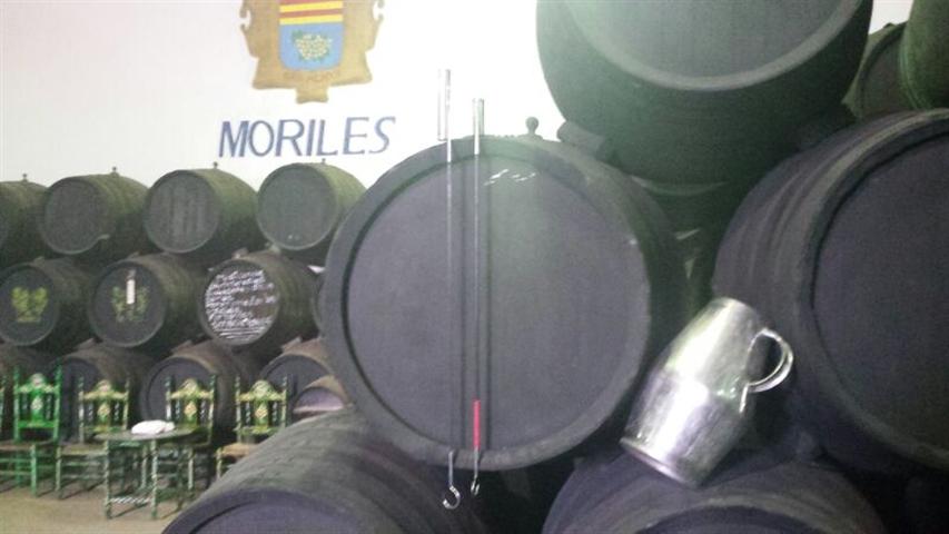 Bodegas El Monte, en Moriles