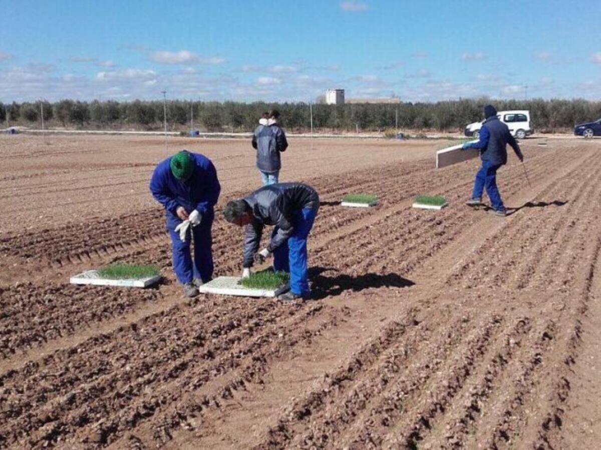 Archivada la causa de Las Tiesas