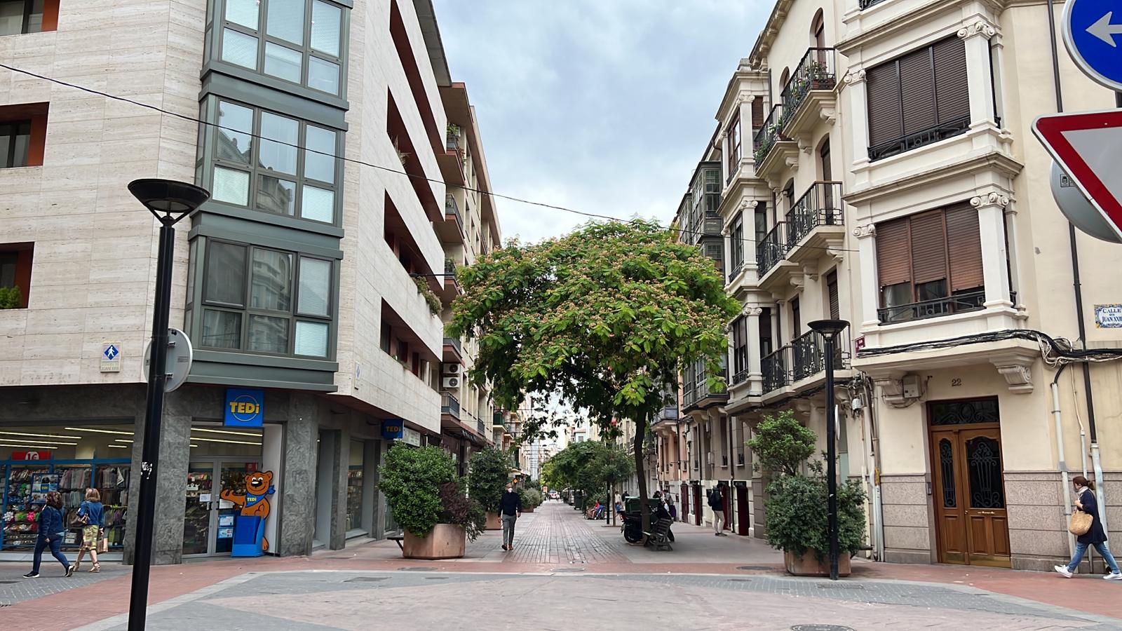 Paseo Peatonal de las Cien Tiendas