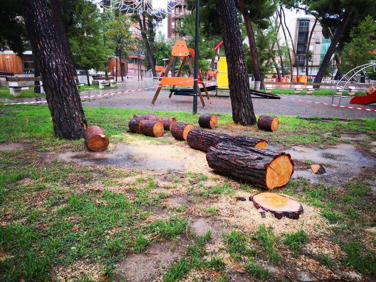 El grupo popular de Elda critica la tala de dos pinos de la plaza Castelar
