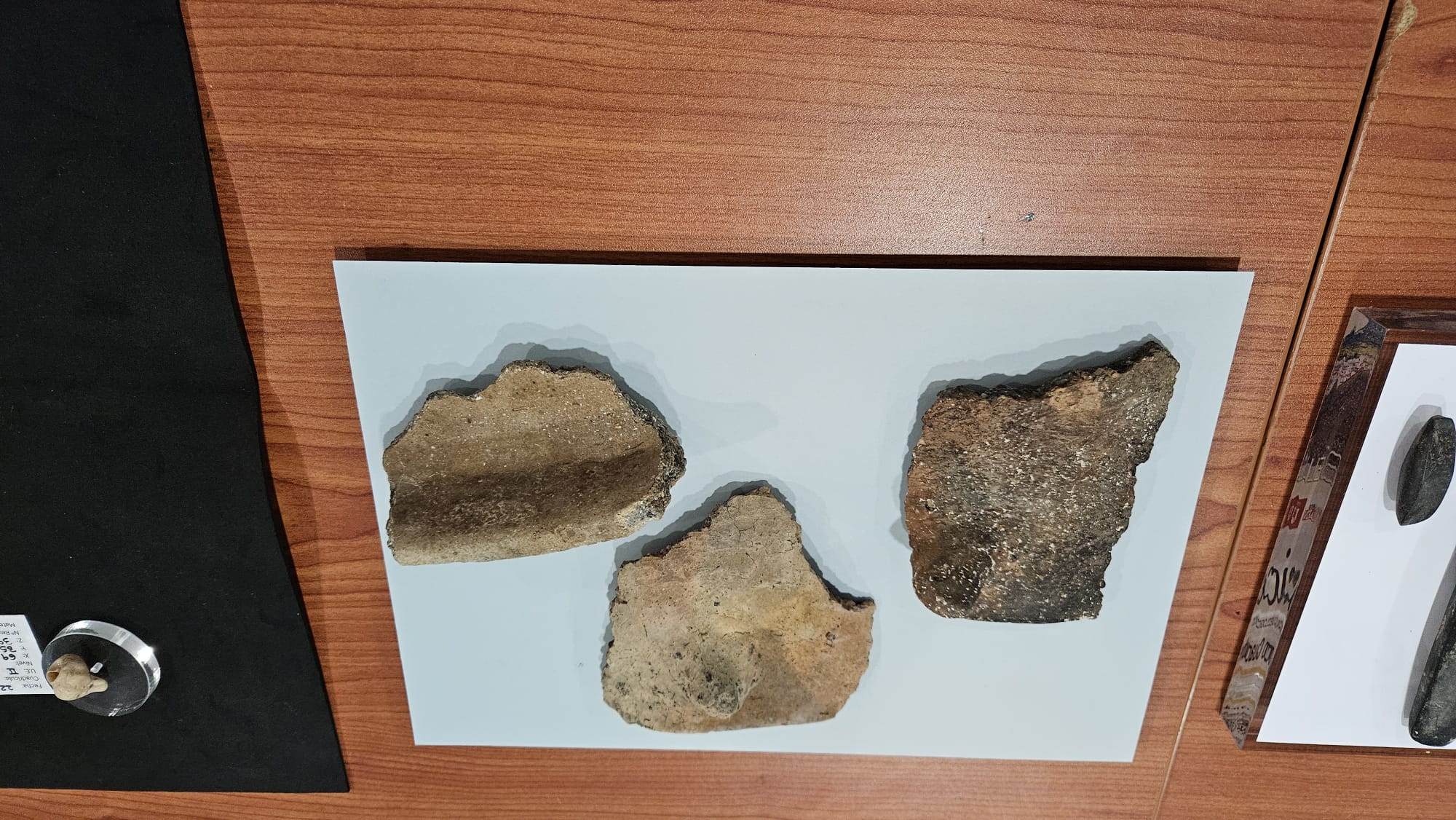 Algunas de las cerámicas encontradas