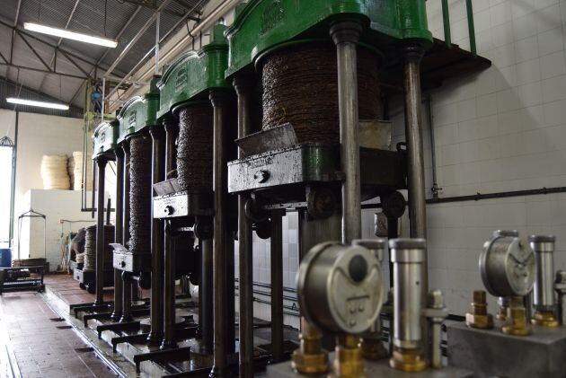 Estas prensas de la almazara "El Leva" llevan más de 70 años produciendo aceite campaña tras campaña