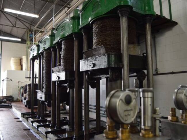 Estas prensas de la almazara "El Leva" llevan más de 70 años produciendo aceite campaña tras campaña