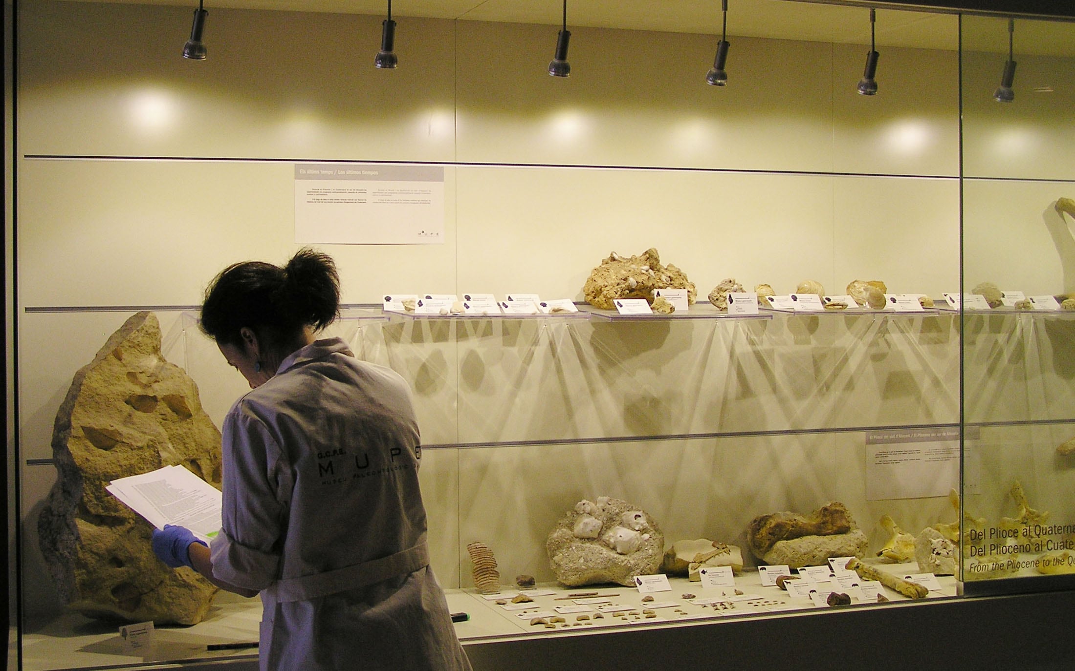 Museo Paleontológico de Elche