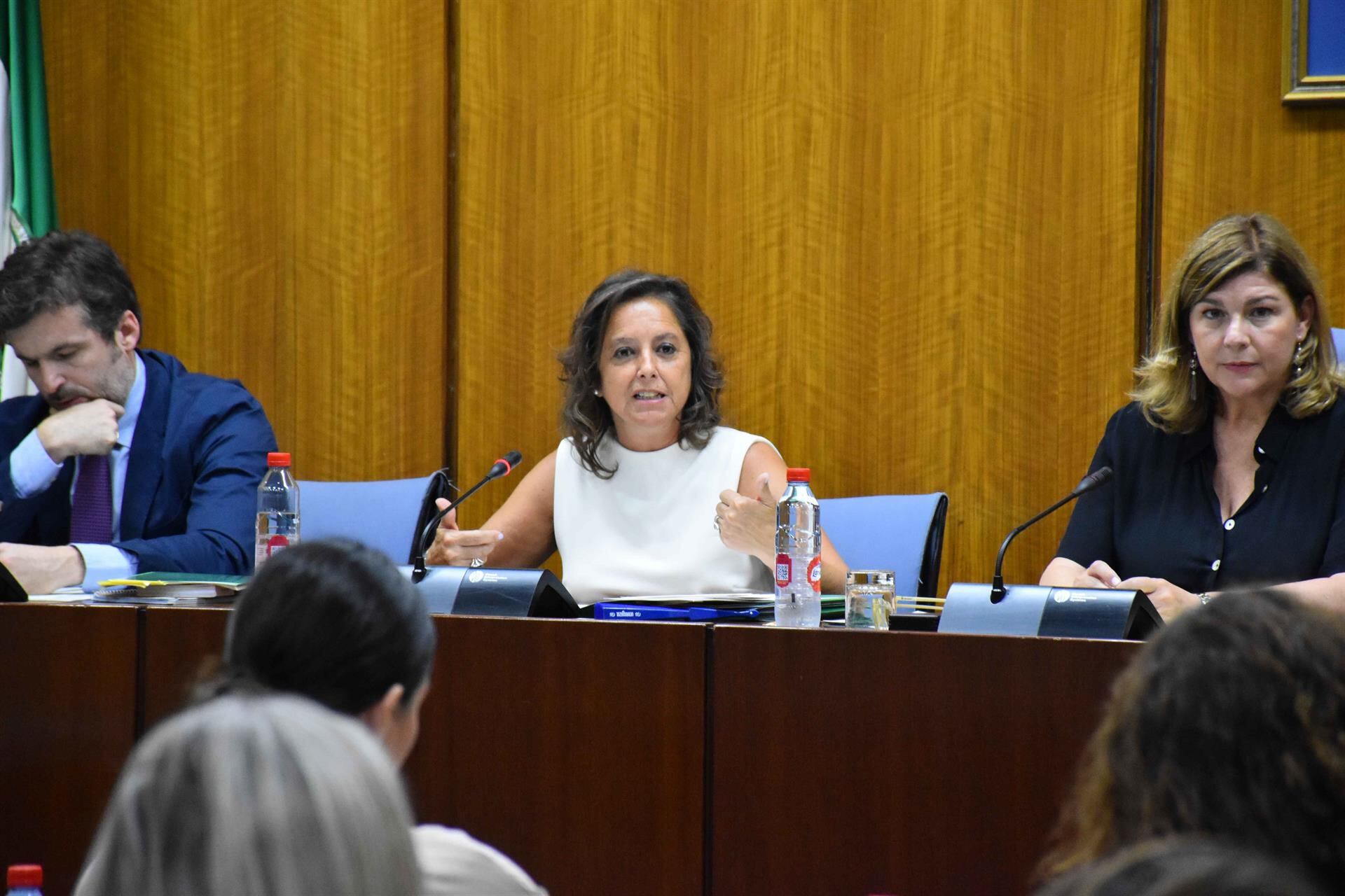 La consejera de Salud, Catalina García, en la Comisión de Salud del Parlamento de Andalucía.