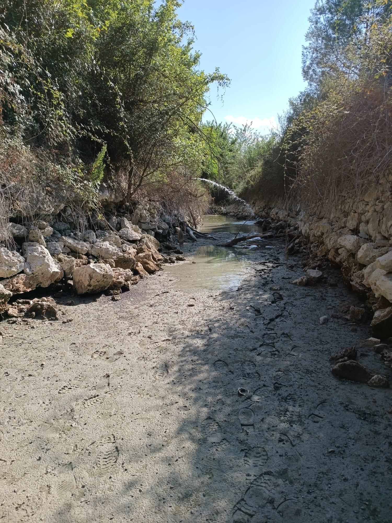 Aportación de agua al Riu Sants (L&#039;Alcúdia de Crespins)