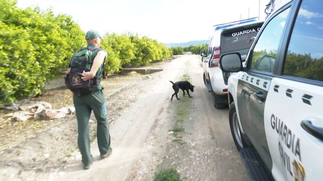 Un agente con un perro en la búsqueda de Marta Calvo por los alrededores de Manuel