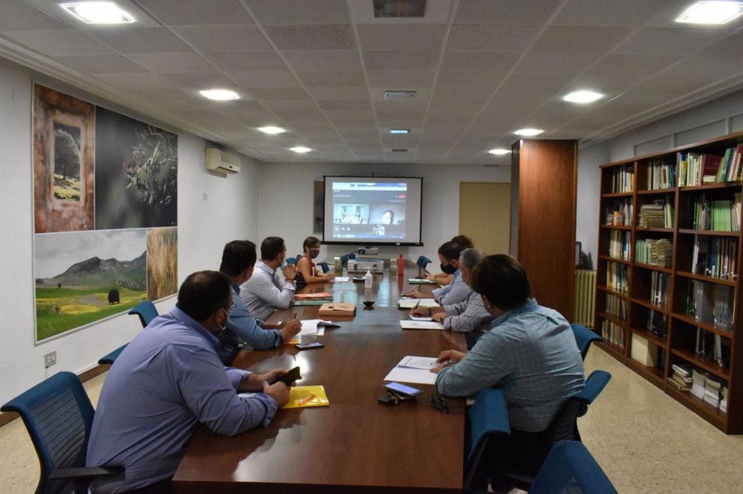 Reunión de información sobre la campaña de la aceituna.