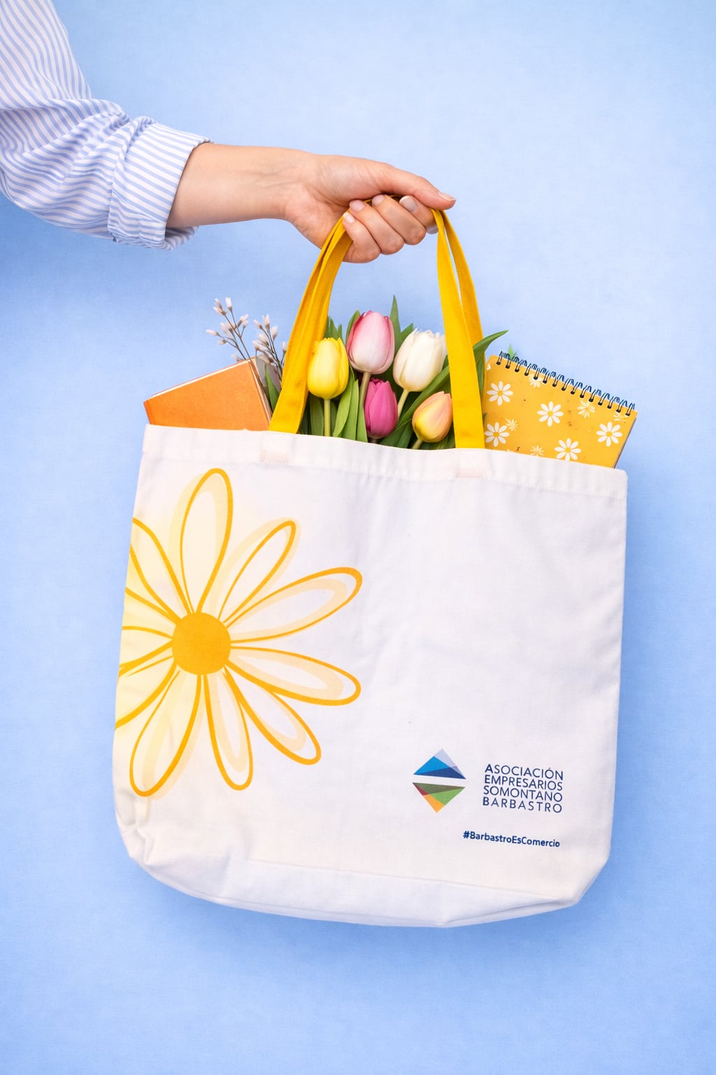 Imagen de la bolsa promocional