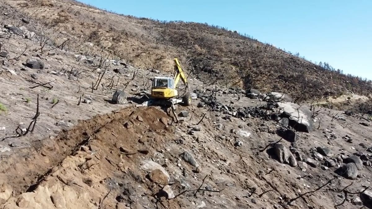 La Confederación del Tajo trabaja para restaurar las zonas afectadas por los incendios en Ávila