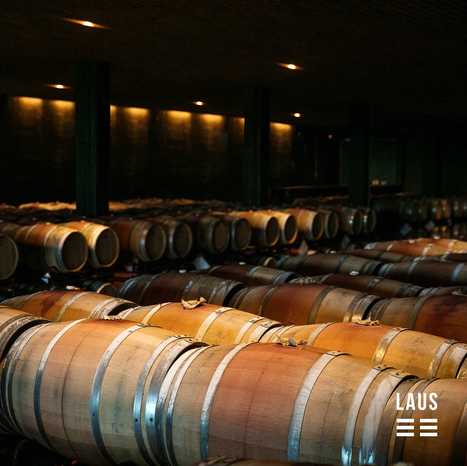 Los visitantes pudieron ver la sala de barricas de Bodega Laus