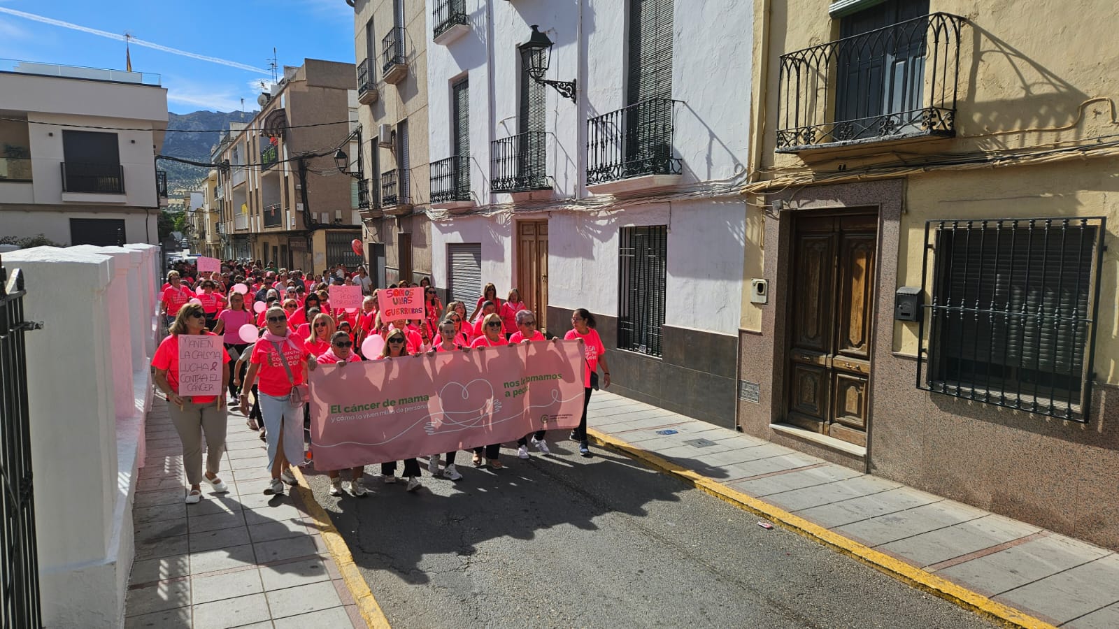 La marcha recorriendo la calle Los Molinos