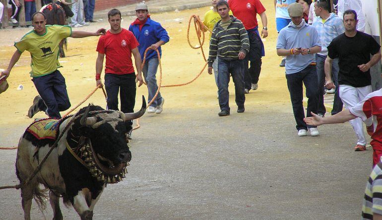 Los &#039;toros ensogaos&#039; es el gran atractivo turístico de Beas de Segura