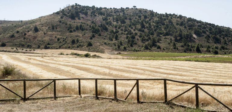 El lugar exacto en el que comenzó el fuego a causa de una parrilla que dejaron encendida unos turistas