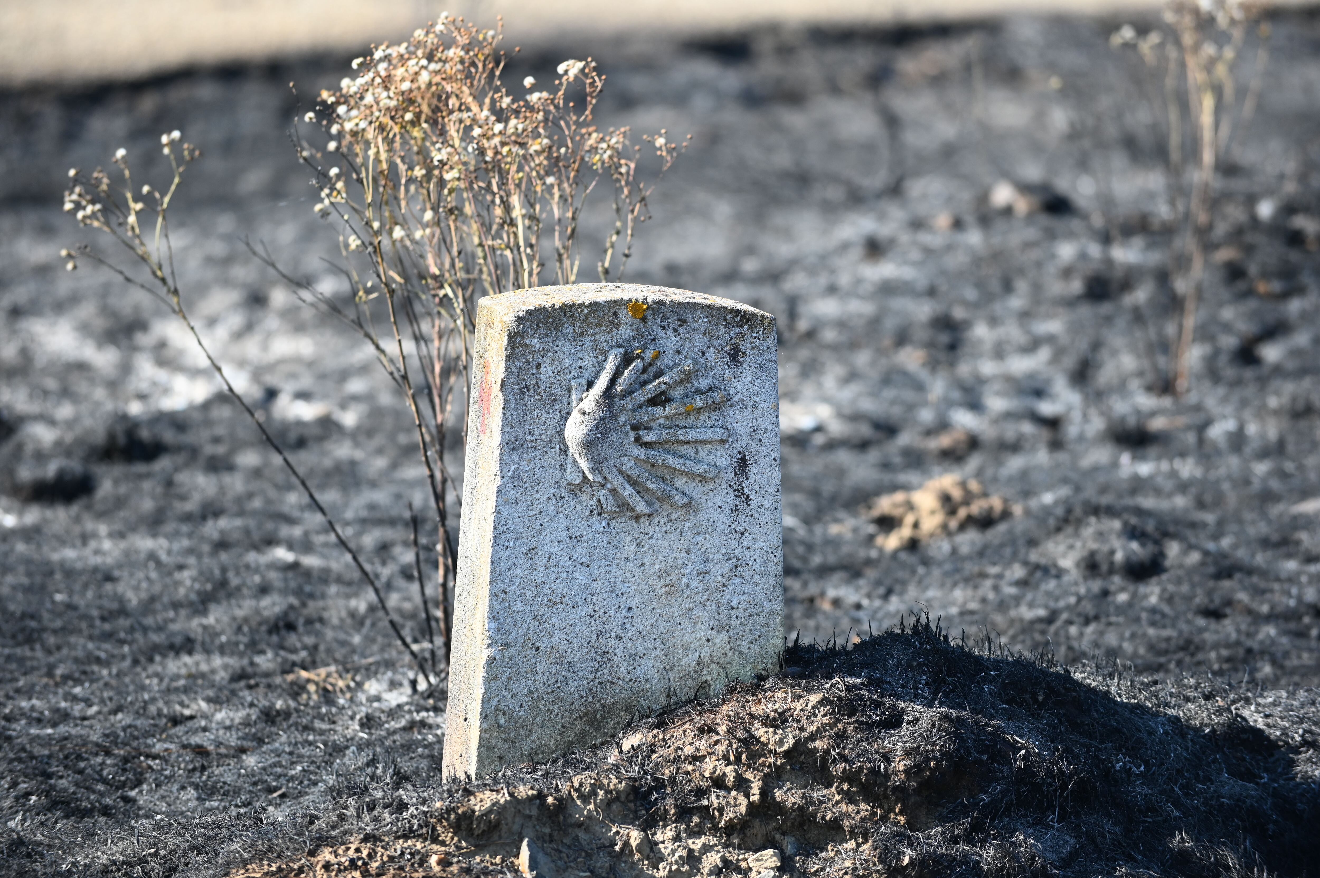 -FOTODELDIA- CASTRILLO DE LOS POLVAZARES (LEÓN), 20/08/2024.- Los trabajos de extinción llevados a cabo durante las últimas horas han evitado que el incendio forestal declarado el lunes en la localidad leonesa de Castrillo de los Polvazares, cerca de Astorga, amenace núcleos de población, aunque ha sido necesario desalojar a varias familias de dos de ellos, Piedralba y Oteruelo de la Valduerna. EFE/J.Casares