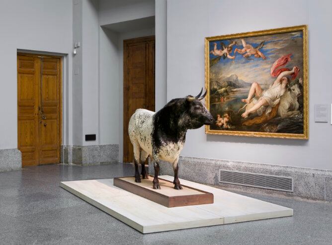 'El rapto de Europa' de Pedro Paplo Rubens aparece junto a una escultura titulada 'El toro de Veragua'