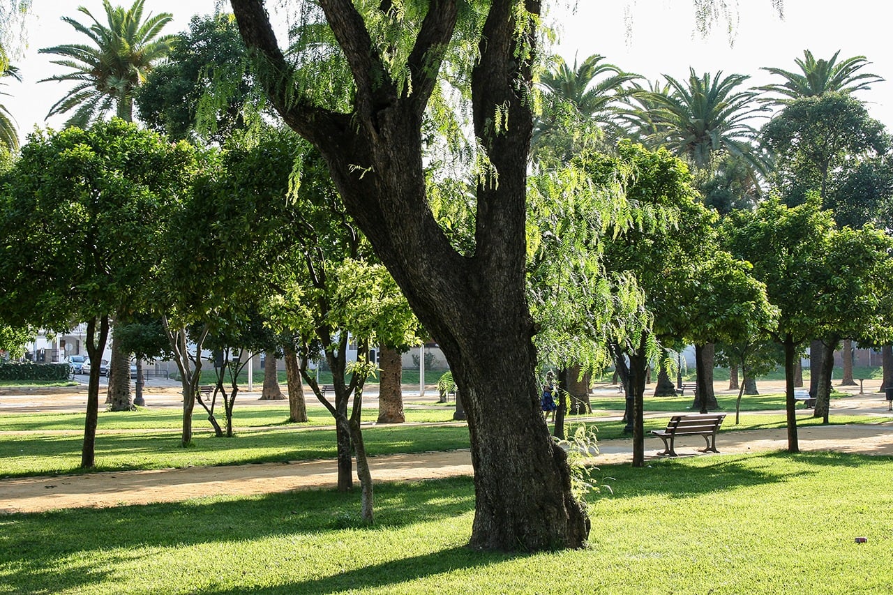 Recorrido por el Retiro Jerez