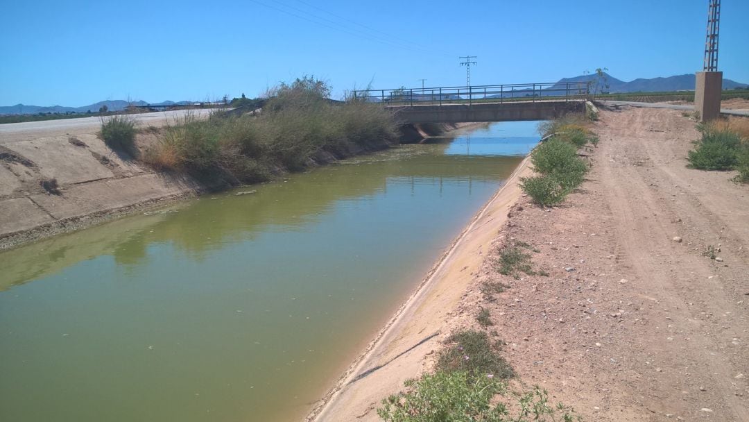 El canal del trasvase a su paso por la diputación cartagenera de La Aljorra