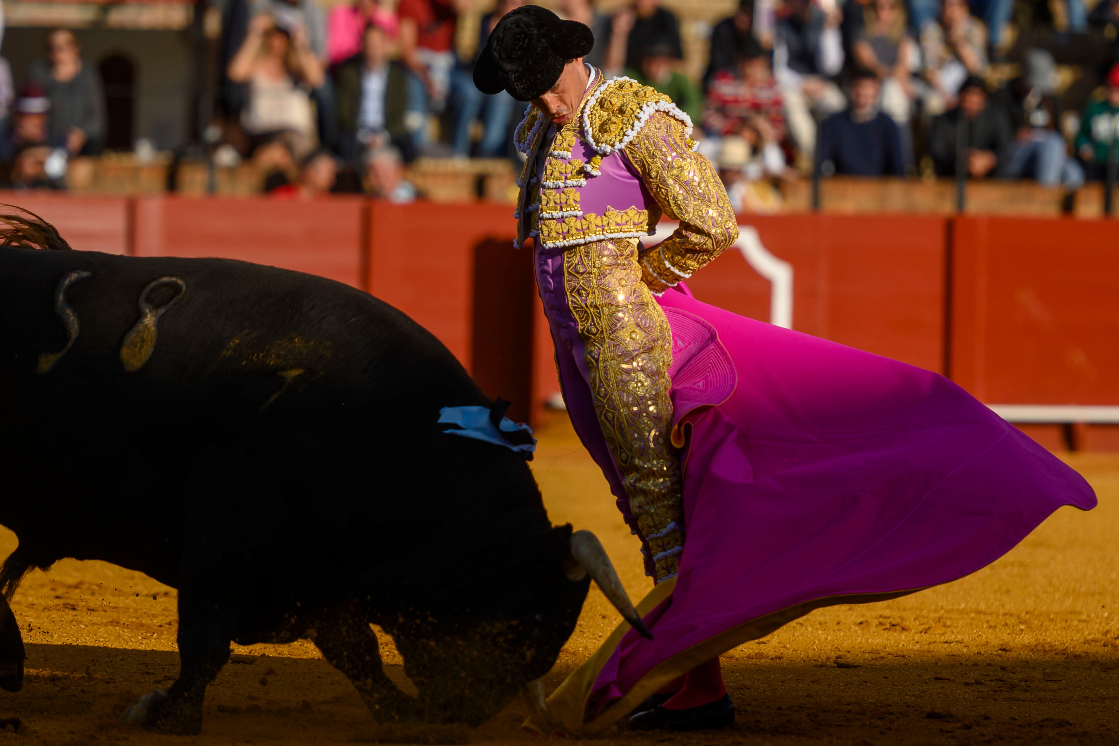 SEVILLA, 30/04/2025.- El diestro David Galán con su primer toro de la tarde ?este miércoles, en el cuarto festejo de abono en La Real Maestranza de Sevilla. EFE/ Raúl Caro
