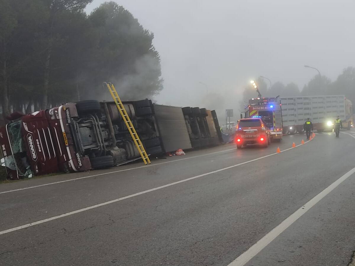 Vuelca un camión con lechones a la salida de Huesca