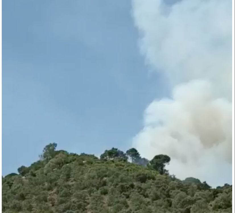 Incendio en el Lagar de la Cruz