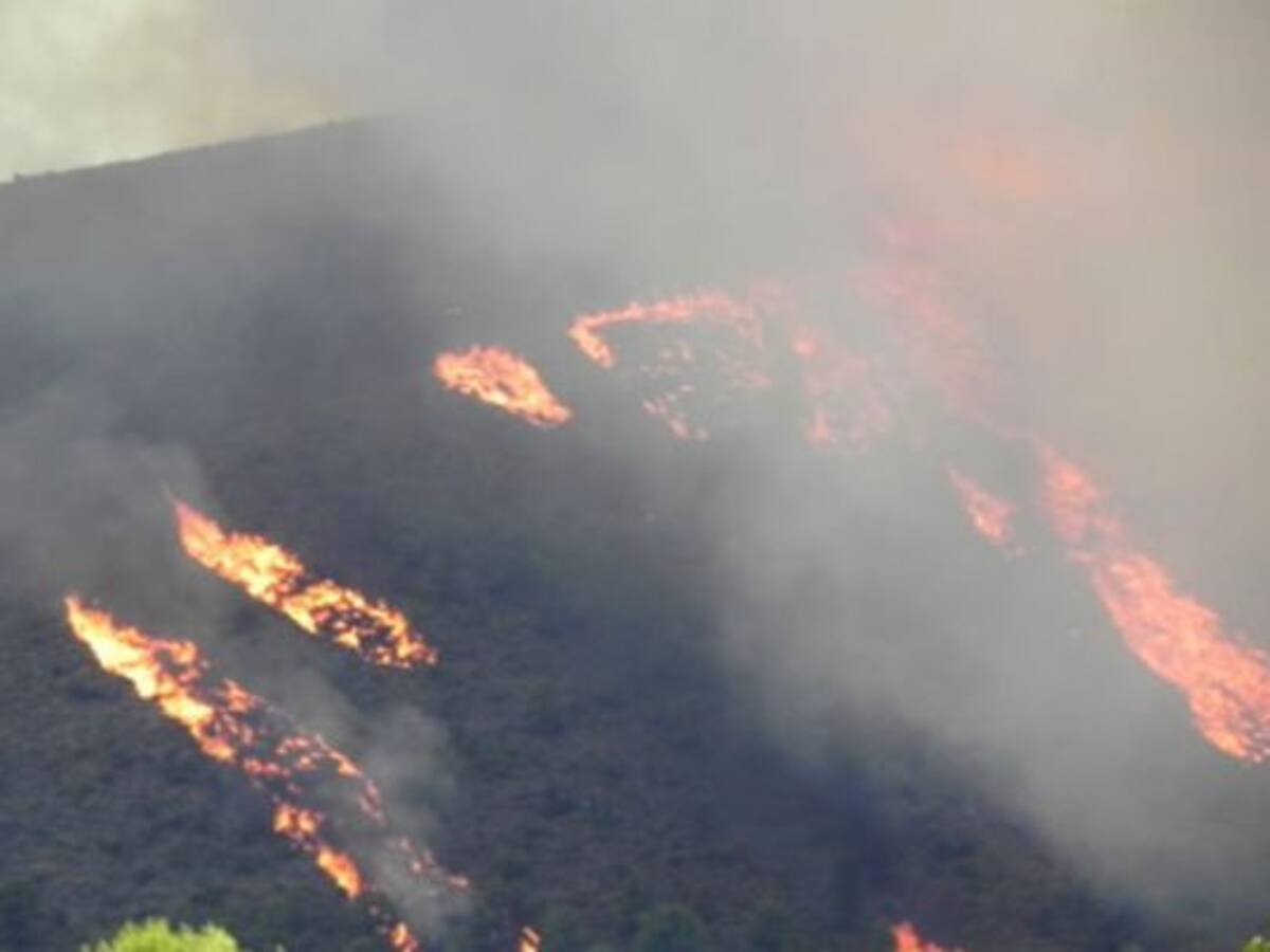 Agosto será "complicado" en términos de extinción