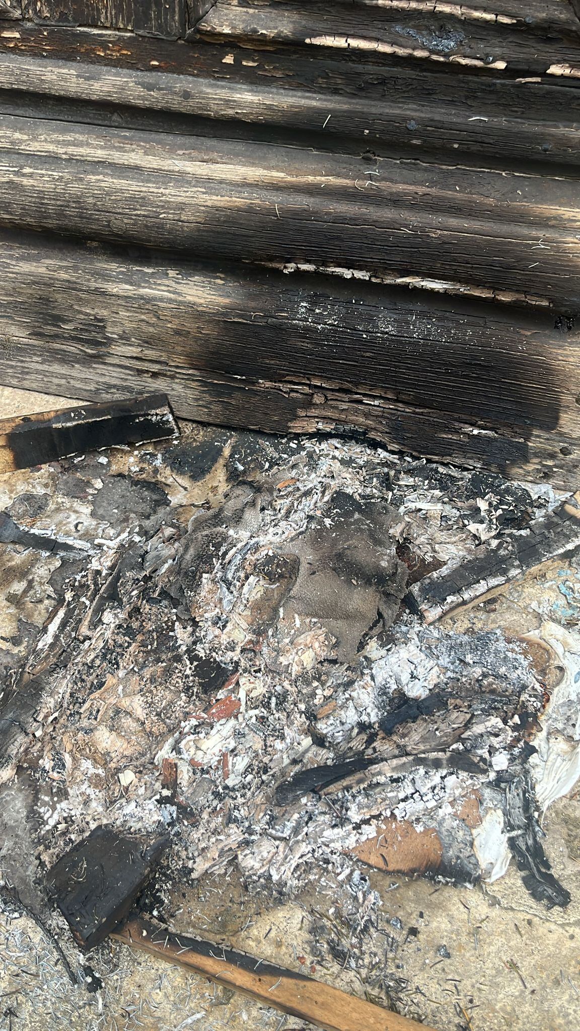 Acto vandálico contra el Ayuntamiento de Paredes de Nava (Palencia)