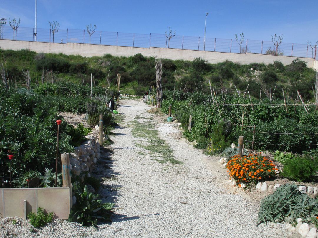 Huertos Urbanos de Elda