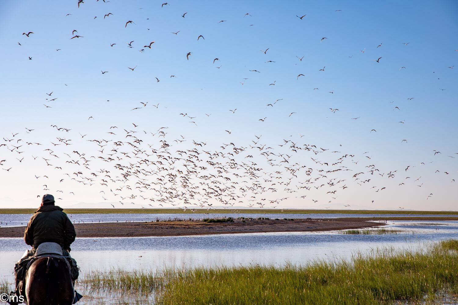 Espacio Natural de Doñana (mayo de 2025)