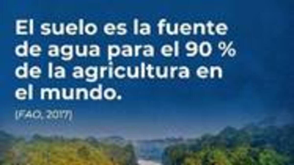 Nuestra naturaleza: La crisis mundial del suelo y la crisis climática: una solución casi invisible
