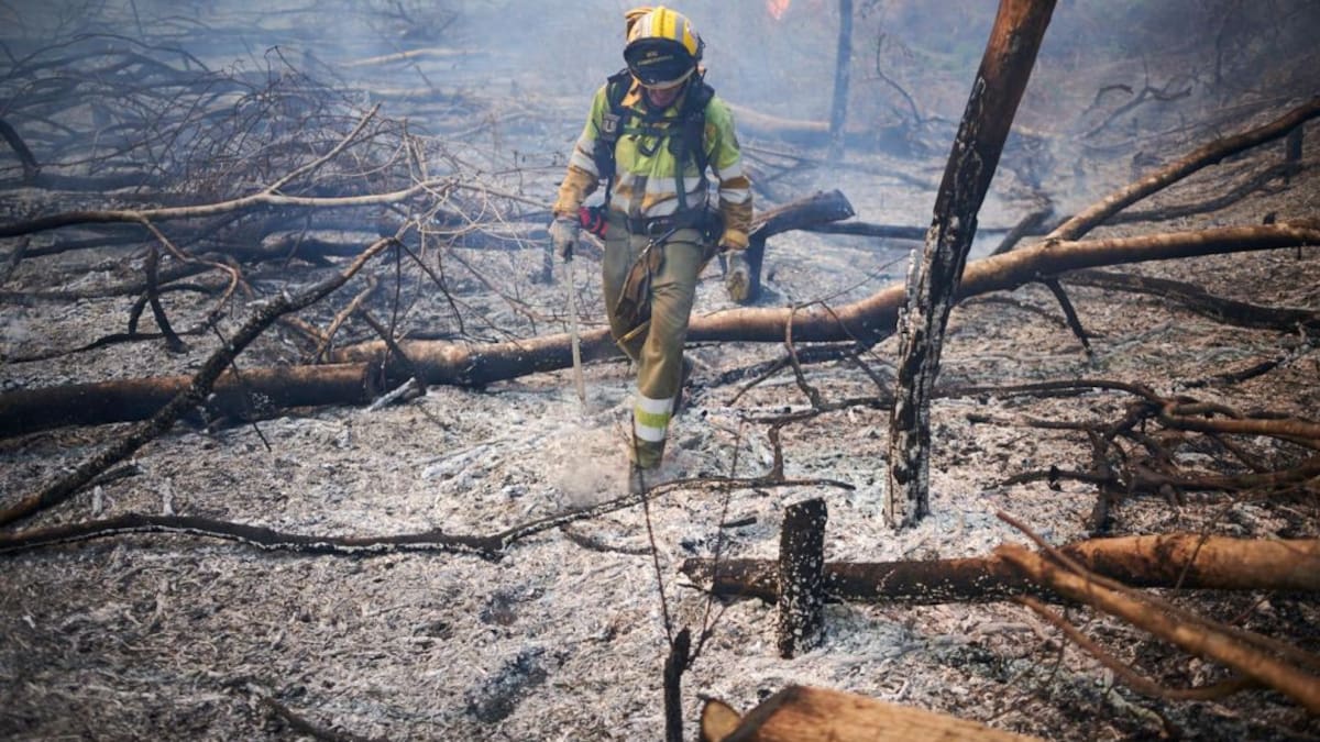 Un bombero de Gandia forma parte de la Unidad de Respuesta Internacional de Incendios Forestales