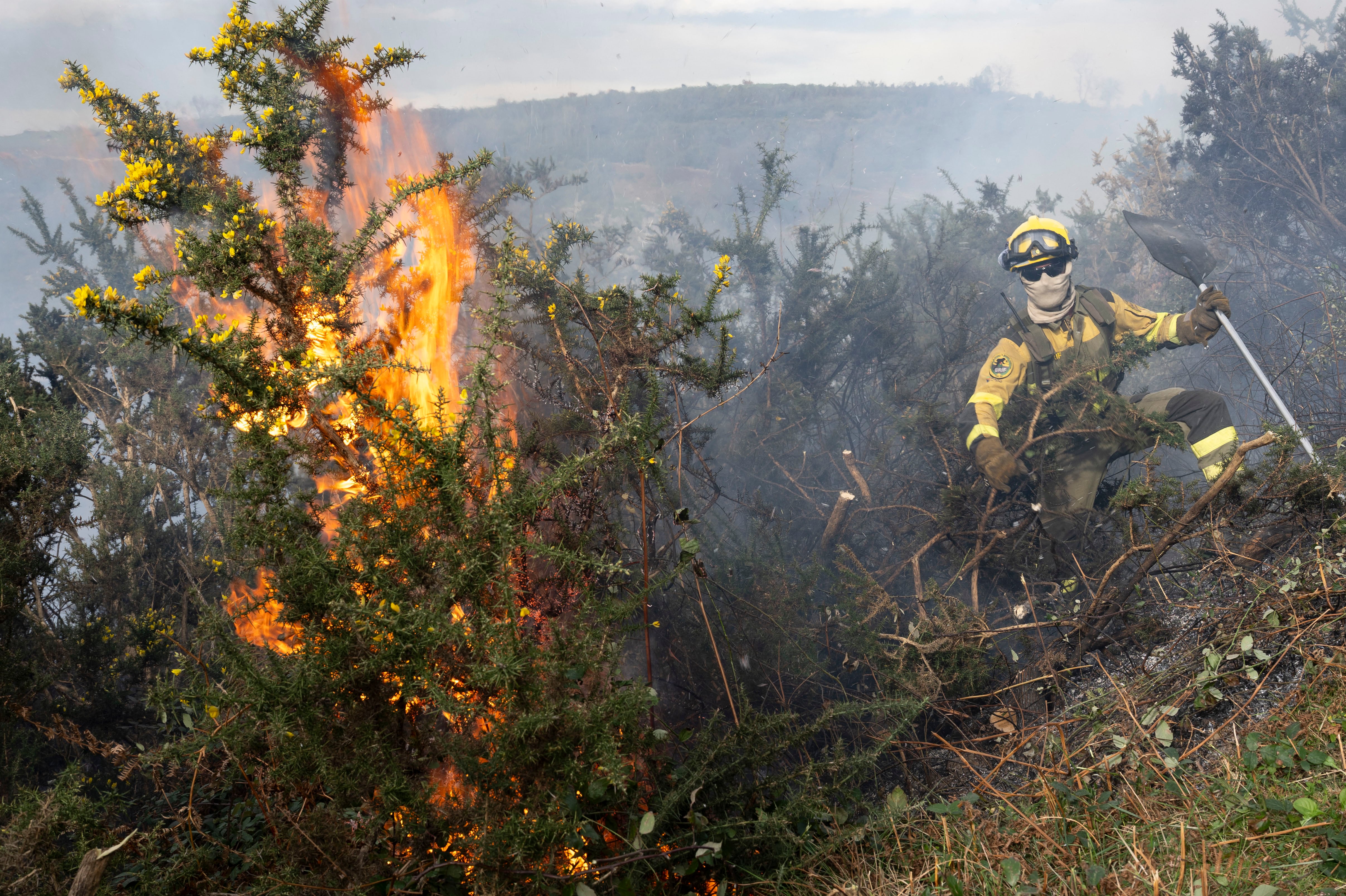 VIÉRNOLES (CANTABRIA) 14/11/2025.- Efectivos de las Brigadas de Refuerzo en Incendios Forestales (BRIF) del Ministerio junto a los Agentes del Medio Natural y bomberos forestales del Gobierno de Cantabria, trabajan en la la extinción de un incendio forestal declarado, este viernes, en los montes de la localidad cántabra de Viérnoles. EFE/Pedro Puente Hoyos

