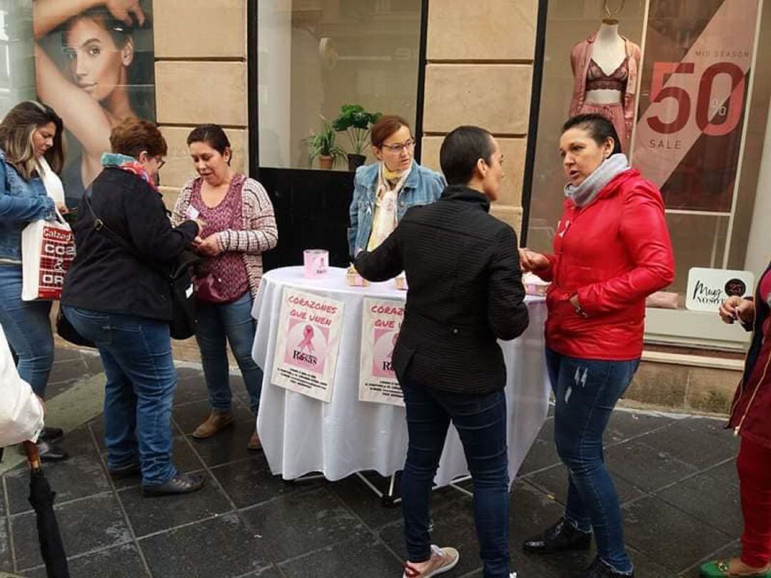 Componentes de Corazones Rosas durante una acción informativa