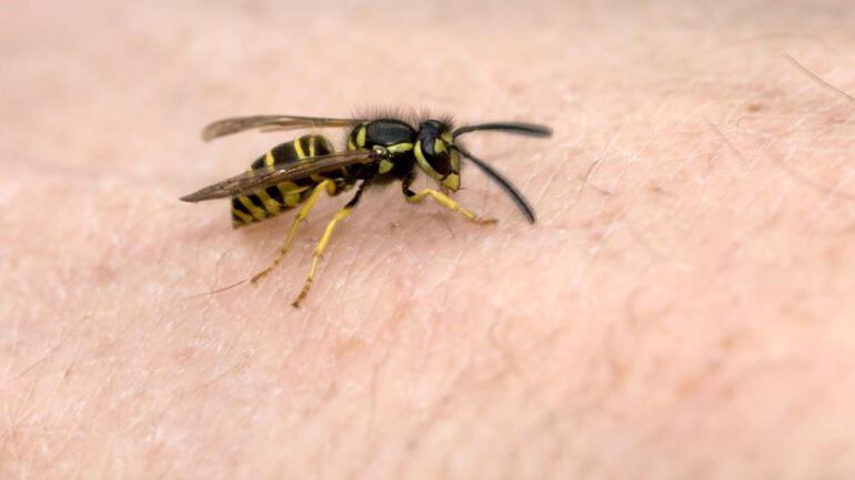 Es la tercera víctima mortal en Galicia por un suceso similar en menos de diez días.