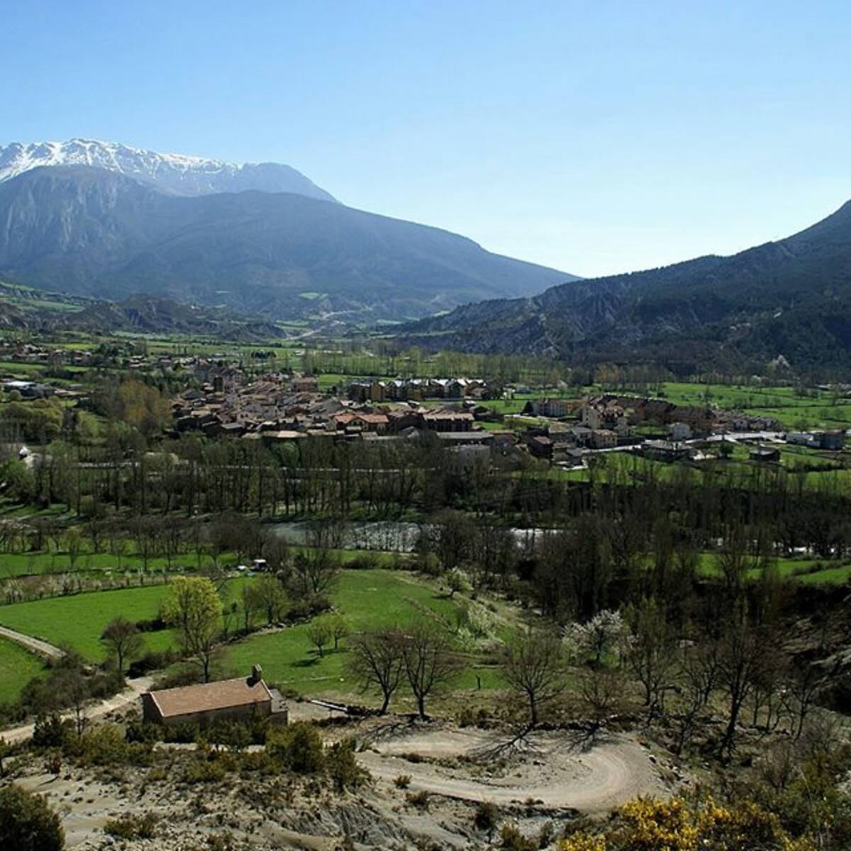 Campo dedica sus jornadas culturales a ‘Los árboles’