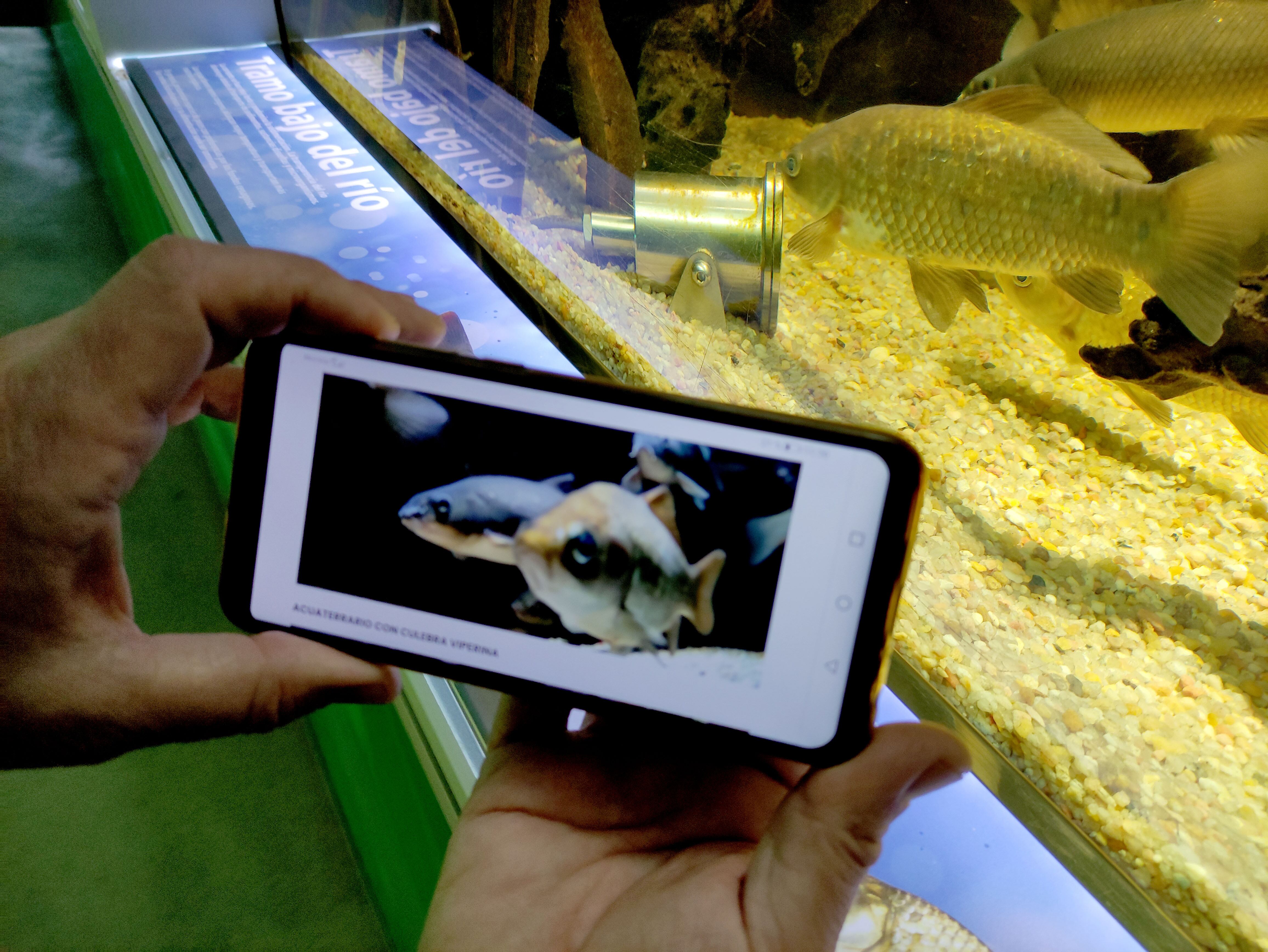 Webcams/Museo de la ciencia