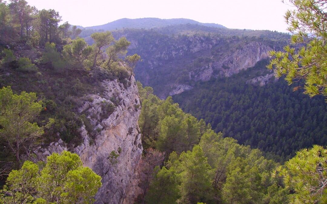 Sierra de Salinas. Barranco de enmedio