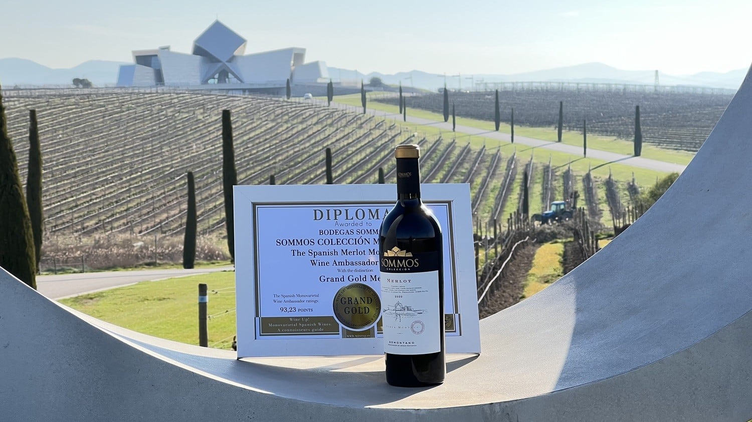 Sommos colección merlot 2020