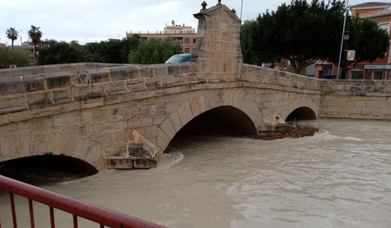 El Segura a su paso por Rojales