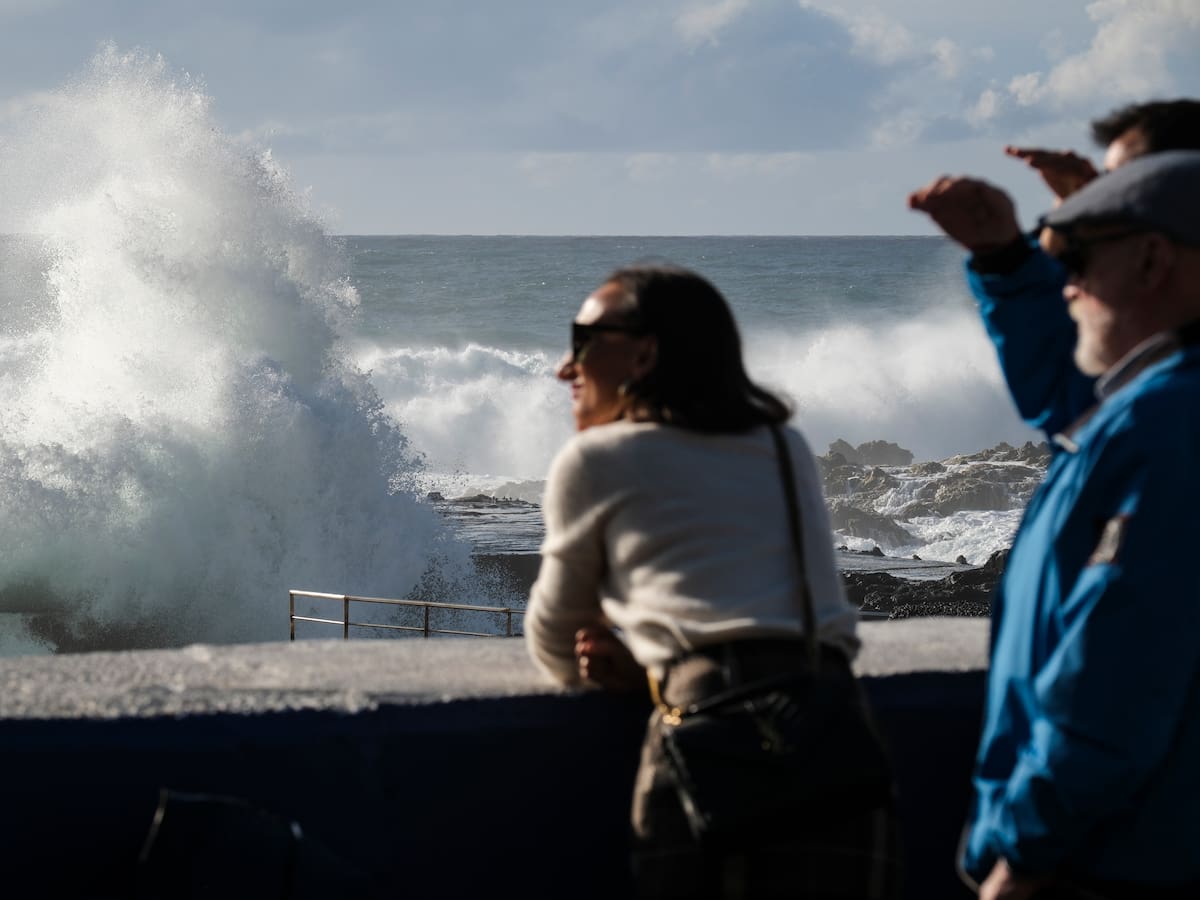 Hay dos clases de canarios y ninguno canta en jaula