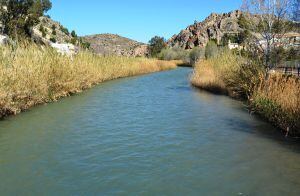 El río Segura perderá peso en Albacete