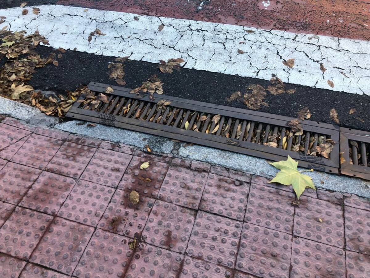 El PSOE avisa del mal estado de rejillas y pasos alomados