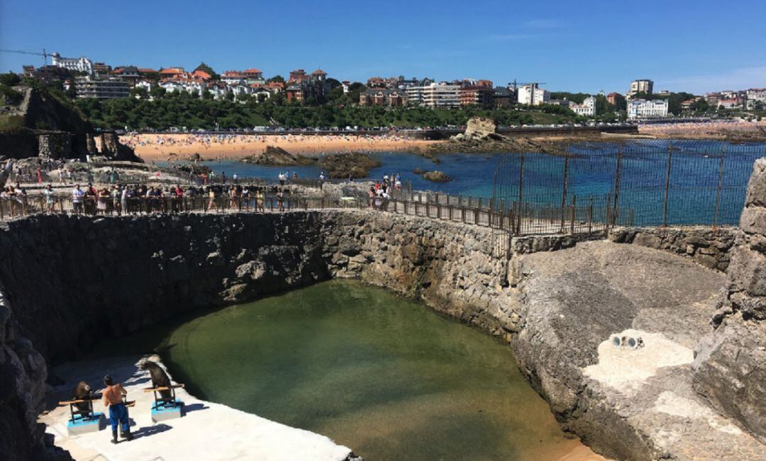 Minizoo de la Magdalena