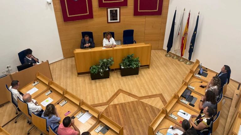 Imagen del pleno extraordinario celebrado este jueves (foto: Concello de Narón)