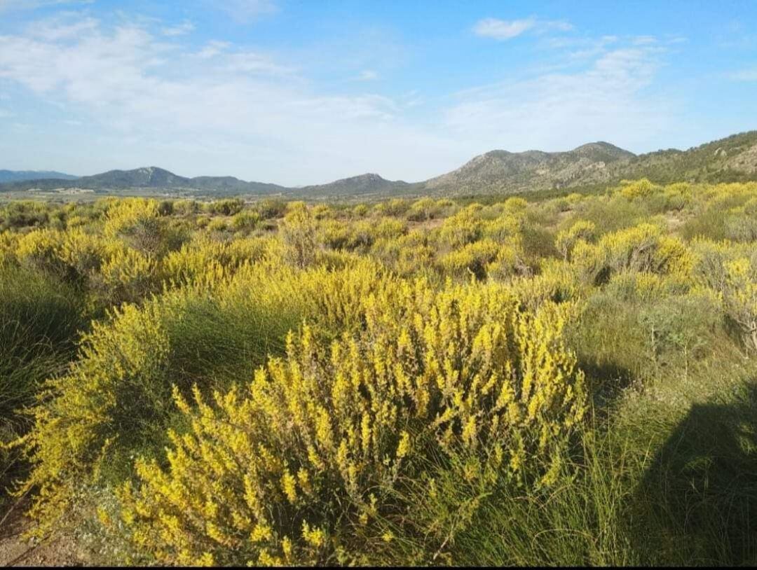 Paraje de Salinas