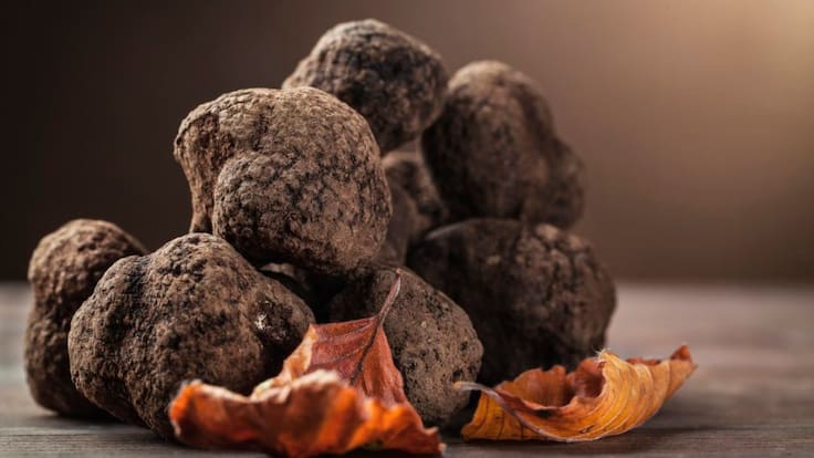 Fernando Martínez Peña trufa negra