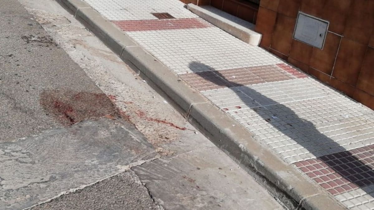 Entrevista David López 01/02/2022