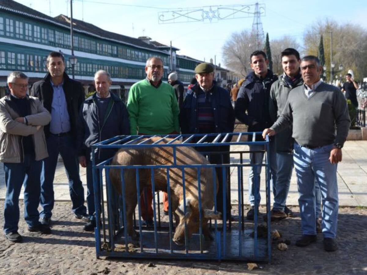 "Tiri ti Trump" es el gran guarrillo de San Antón 2017