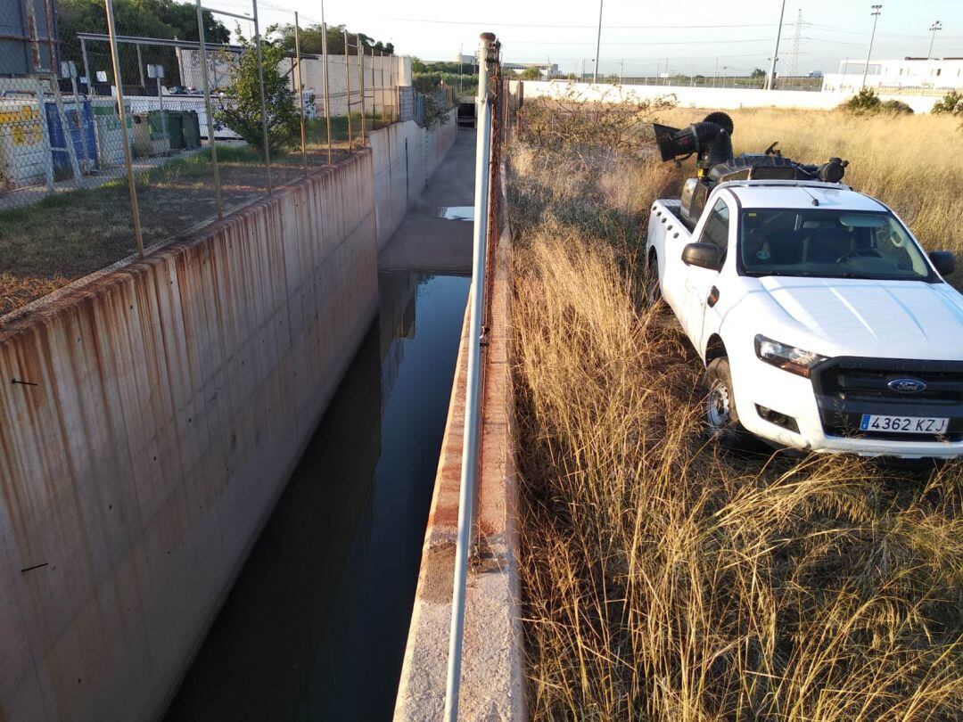 La empresa encargada de los tratamientos mantiene un control semanal de las zonas más problemáticas del término municipal y casco urbano