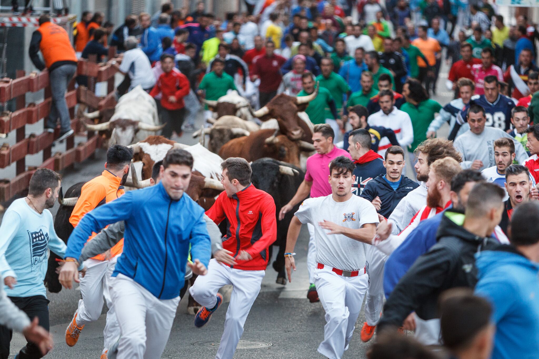 Encierro de las ferias y fiestas